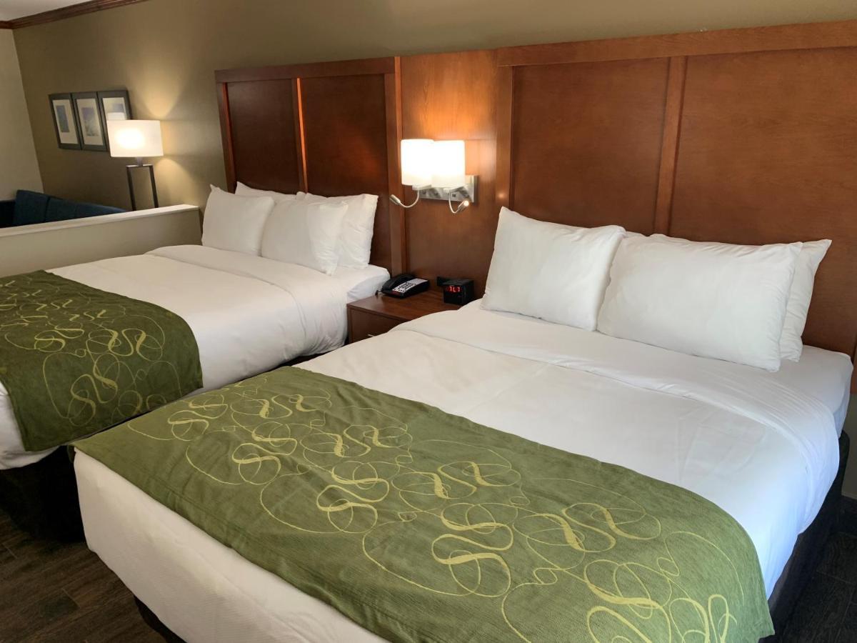 Comfort Suites West Monroe Near Ike Hamilton Expo Center Eksteriør billede