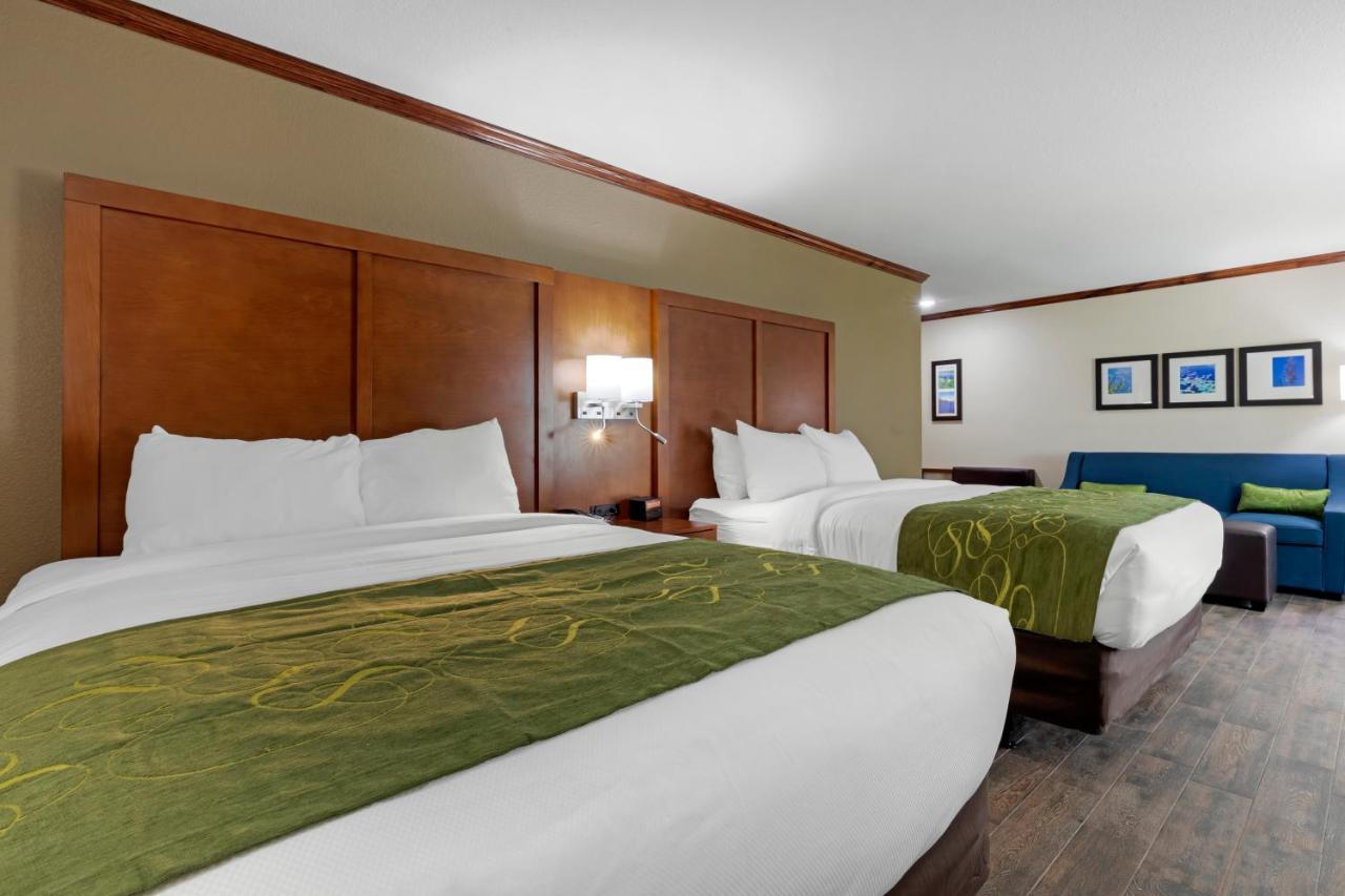 Comfort Suites West Monroe Near Ike Hamilton Expo Center Eksteriør billede